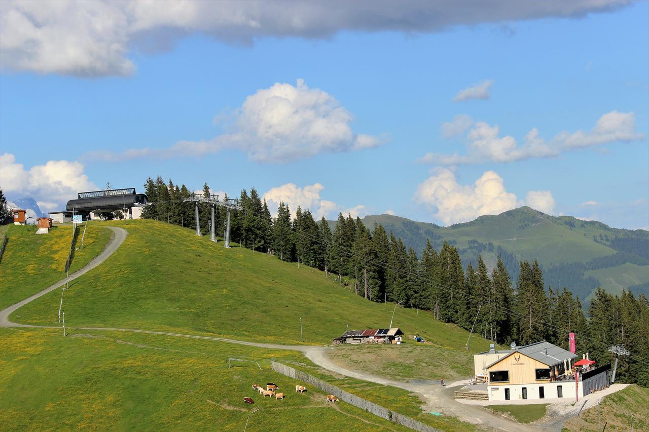 Schmiedhof Alm 3* Zell am See
